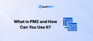 What is PM2 and How Can You Use It?