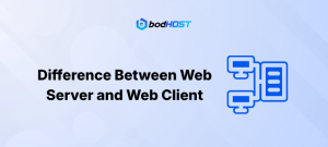 Difference Between Web Server and Web Client