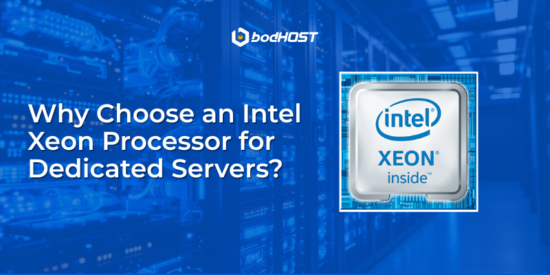Intel Xeon processors for dedicated servers