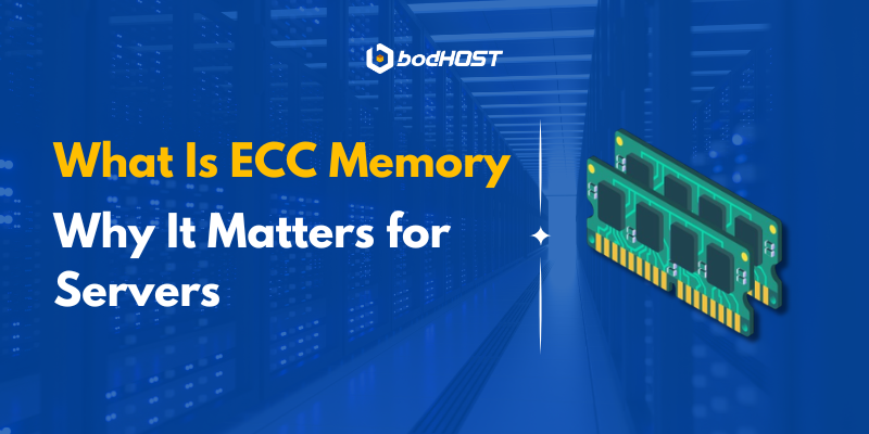 What Is ECC Memory and Why It Matters for Server
