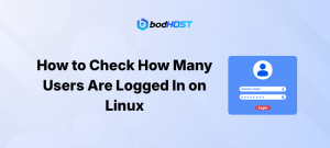 How to Check How Many Users Are Logged In on Linux