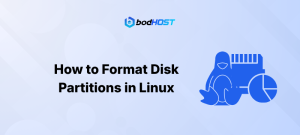 How to Format Disk Partitions in Linux
