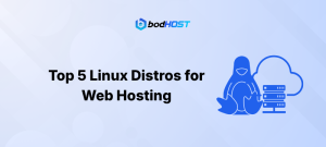 Top 5 Linux Distros for Web Hosting