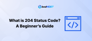 What is 204 Status Code? A Beginner-Friendly Guide