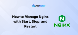 How to Manage Nginx with Start, Stop, and Restart