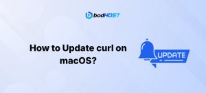 How to Update curl on macOS