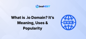 What is a .io Domain? Meaning, Uses & It’s Popularity