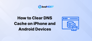 How to Clear DNS Cache on iPhone and Android Devices