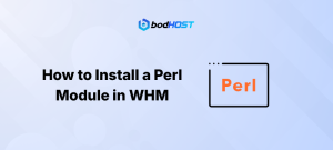 How to install a perl module