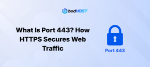 WHat is port 443